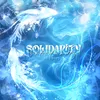 solidarity305225