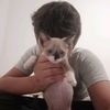 miau2041