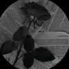 soaad3708