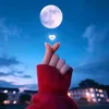user84132668513011