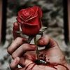 user8814416261181