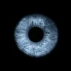 sley_viral