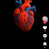 rizwan.bhati959