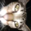 _diemquynh_1