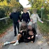 Conifiere