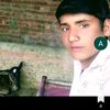 ali.hader4568