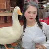Sâu Ở Đây