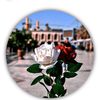 user4581570435405