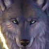 old.wolf280