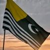 kashmirikashmiri895