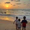 nirmeen.gaza
