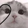 sarahraniayasin6