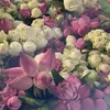 thanh.anh9519