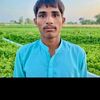 muhammadahsan7356