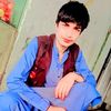 don.of.kpk1