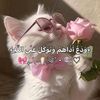 ١٤٣٢هـ|قران📚🕊.