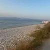 lilli.1331