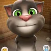 adamsn29