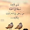 user8458411433754