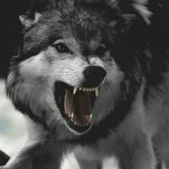 user5482013381128