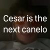 elmerocez