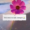 ceceliabeita2