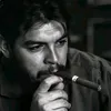 d_djmcc