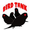 Bird Tank