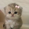 brianacaldernduar