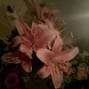 fi.amanillah1a