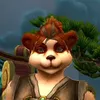 ice_boomkin