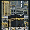 tehrimfatima23