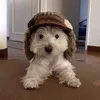ren_sv0