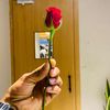 Bishal