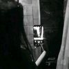 dianarido2