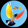 sannam.gul