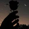 7_thestorm