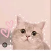 _thu_ha5