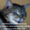 marusya_3337