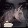 user810353627