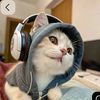 meme_kucing_horor