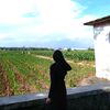 faawliya_syif