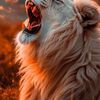 The youth of a lion