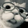 zootopia197