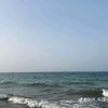 abeermark5