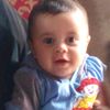 shapan1363