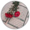 muhammad.javeed4328