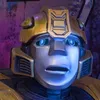 bumblebee8719