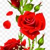 sharmin.sultana1682