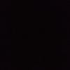 nippon.paint_0